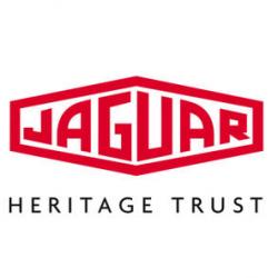 Logo on white