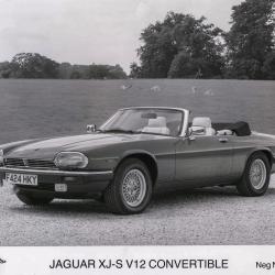 1989MY XJS V12 CONV