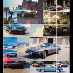 Panel picture collage